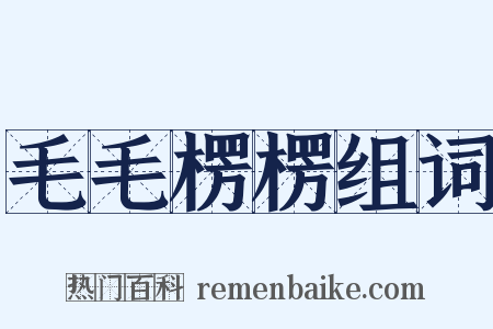 毛毛楞楞组词是什么意思的图片